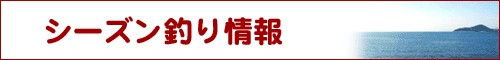 シーズン釣り情報